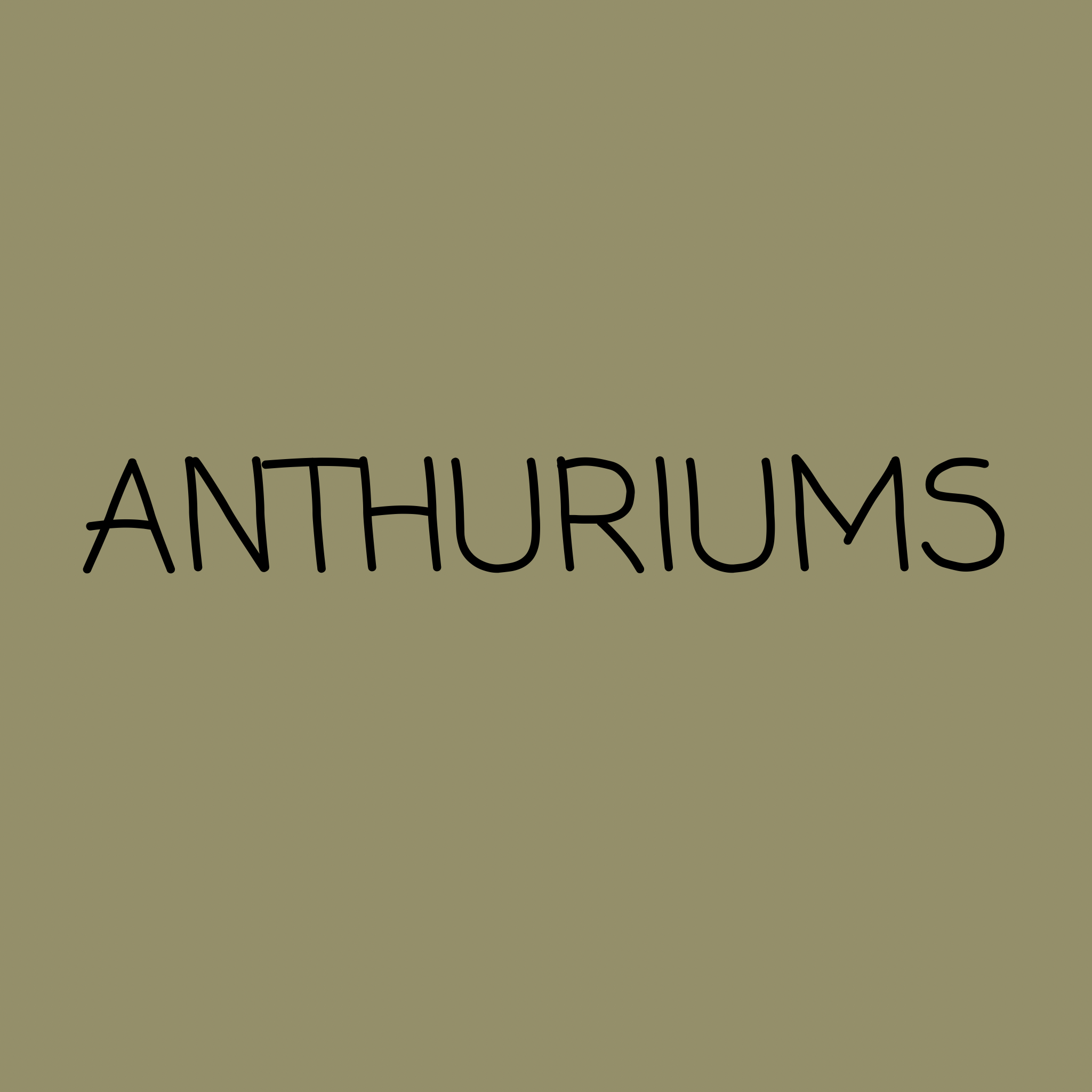 Anthuriums