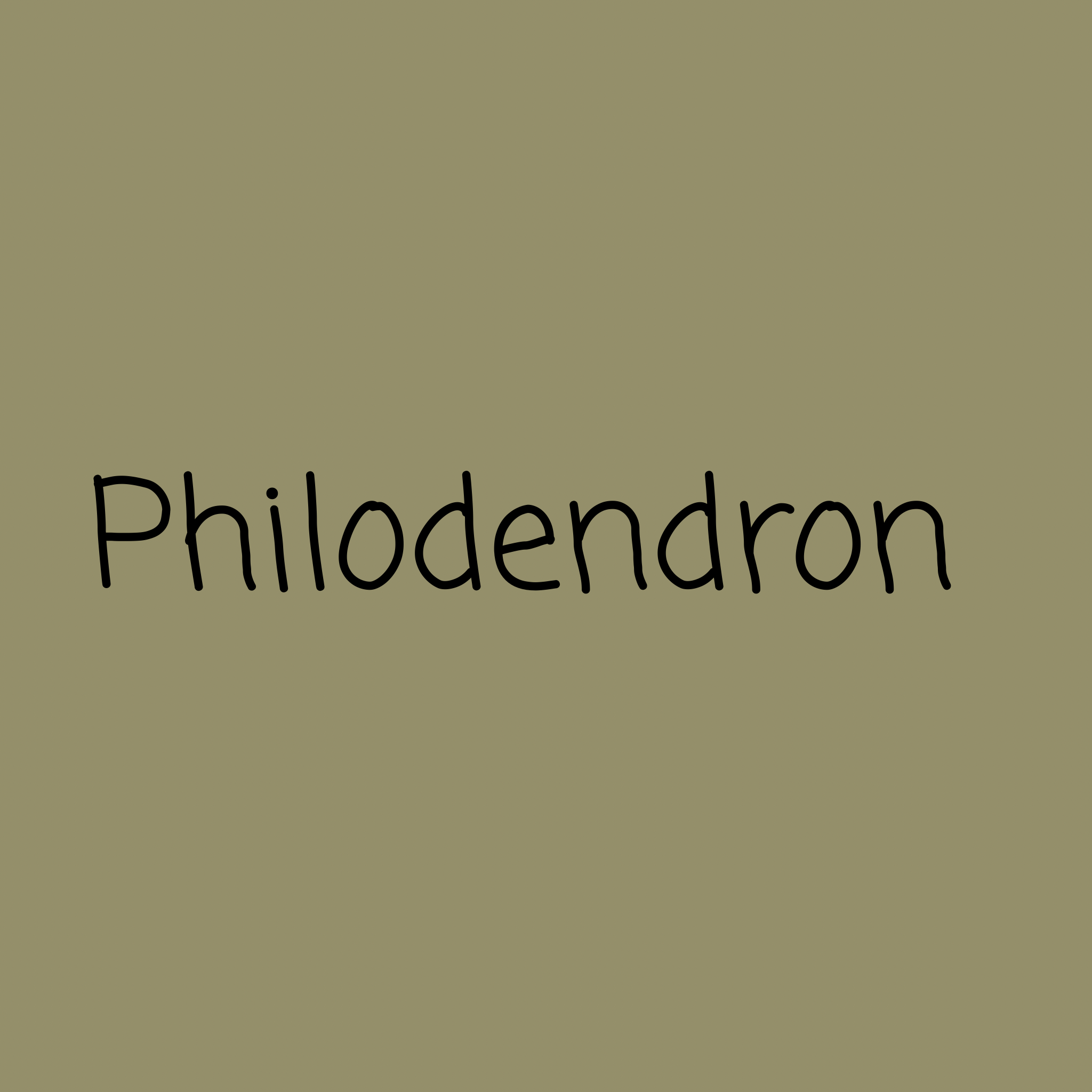 Philodendron