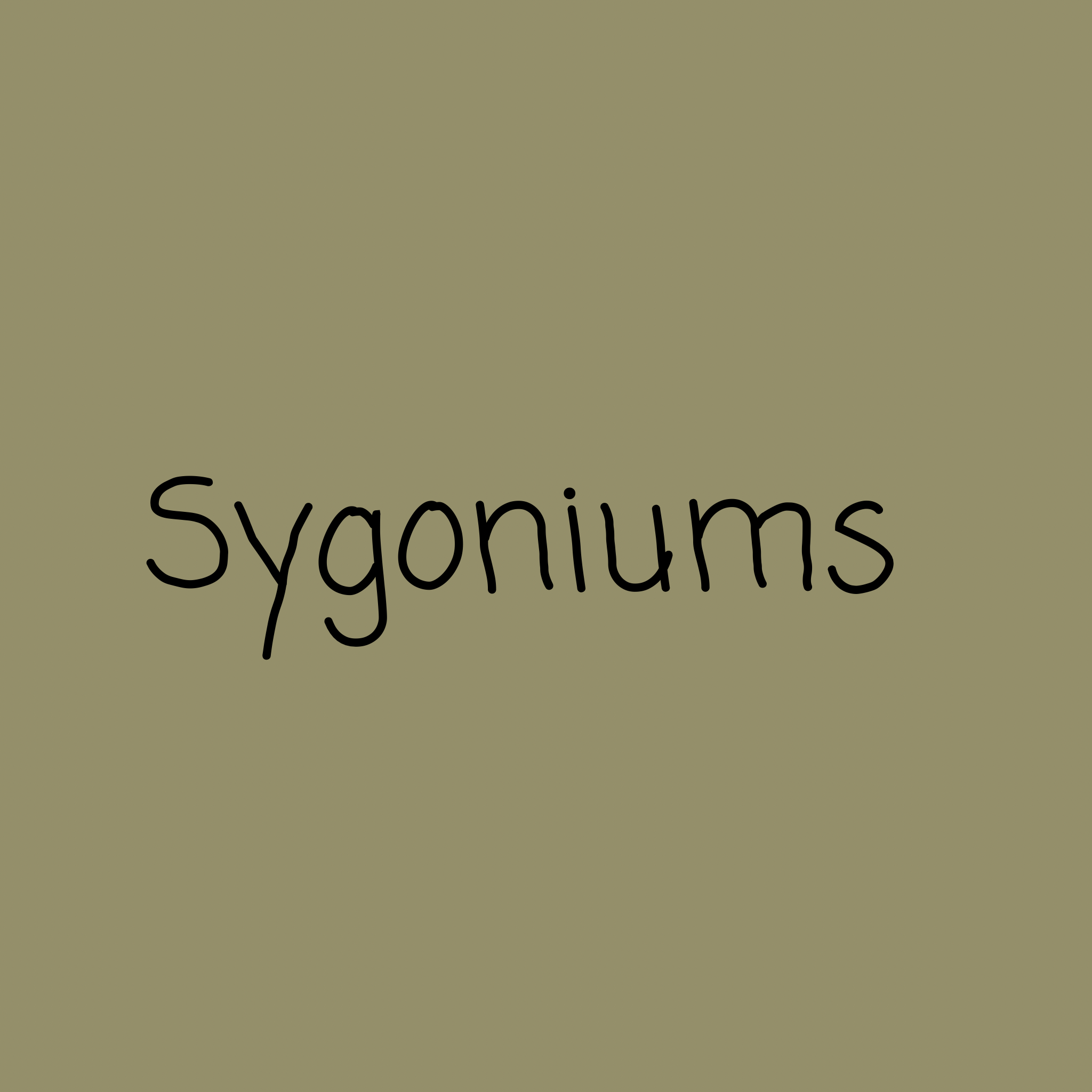 Sygonium