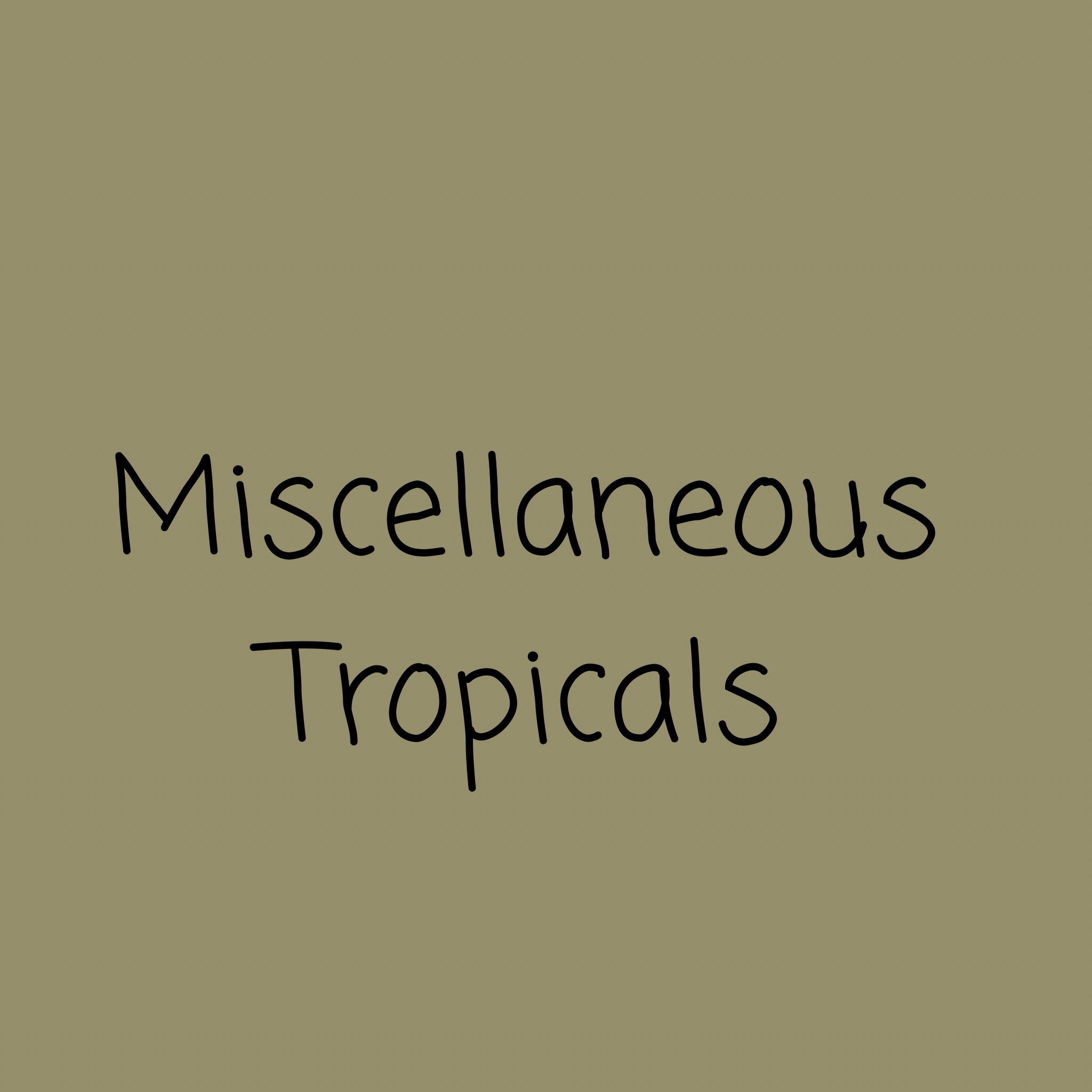 Miscellaneous Tropicals